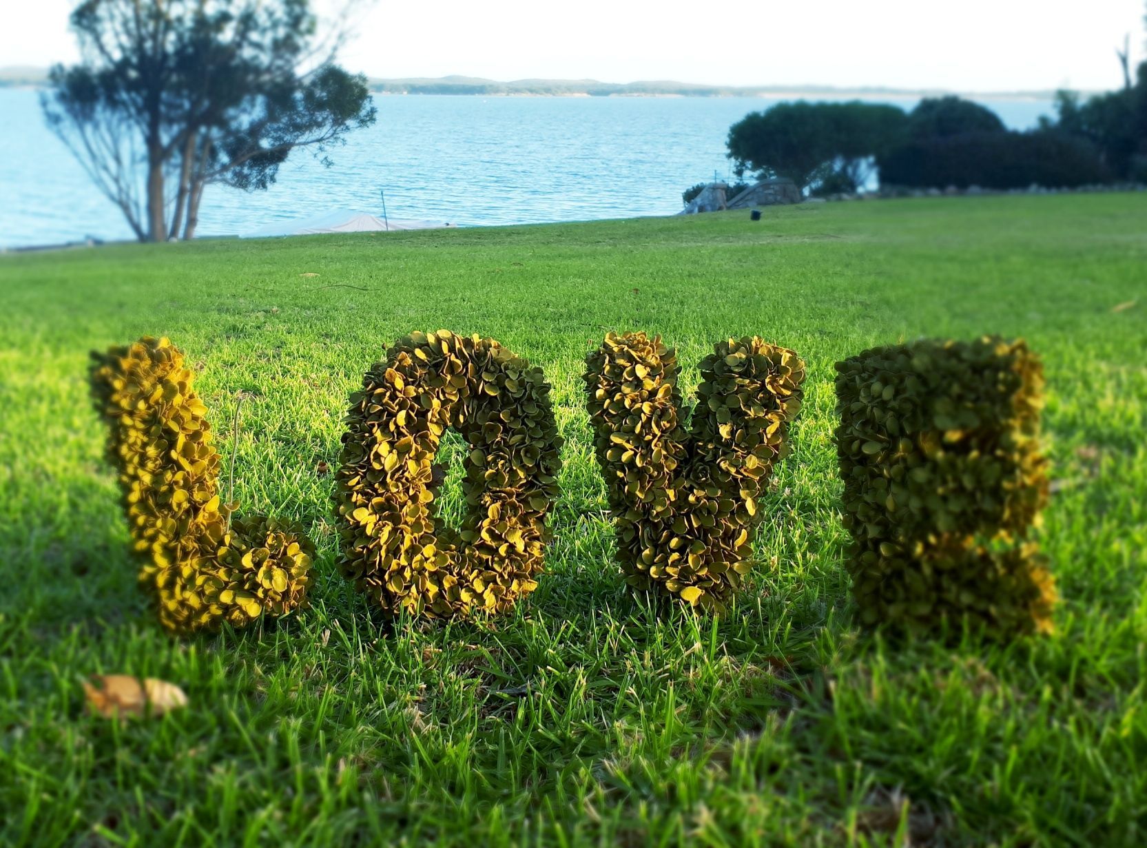 The word love is made out of flowers in the grass