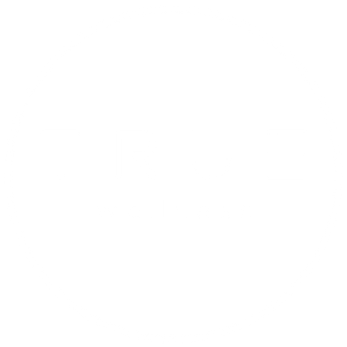 true wellness logo