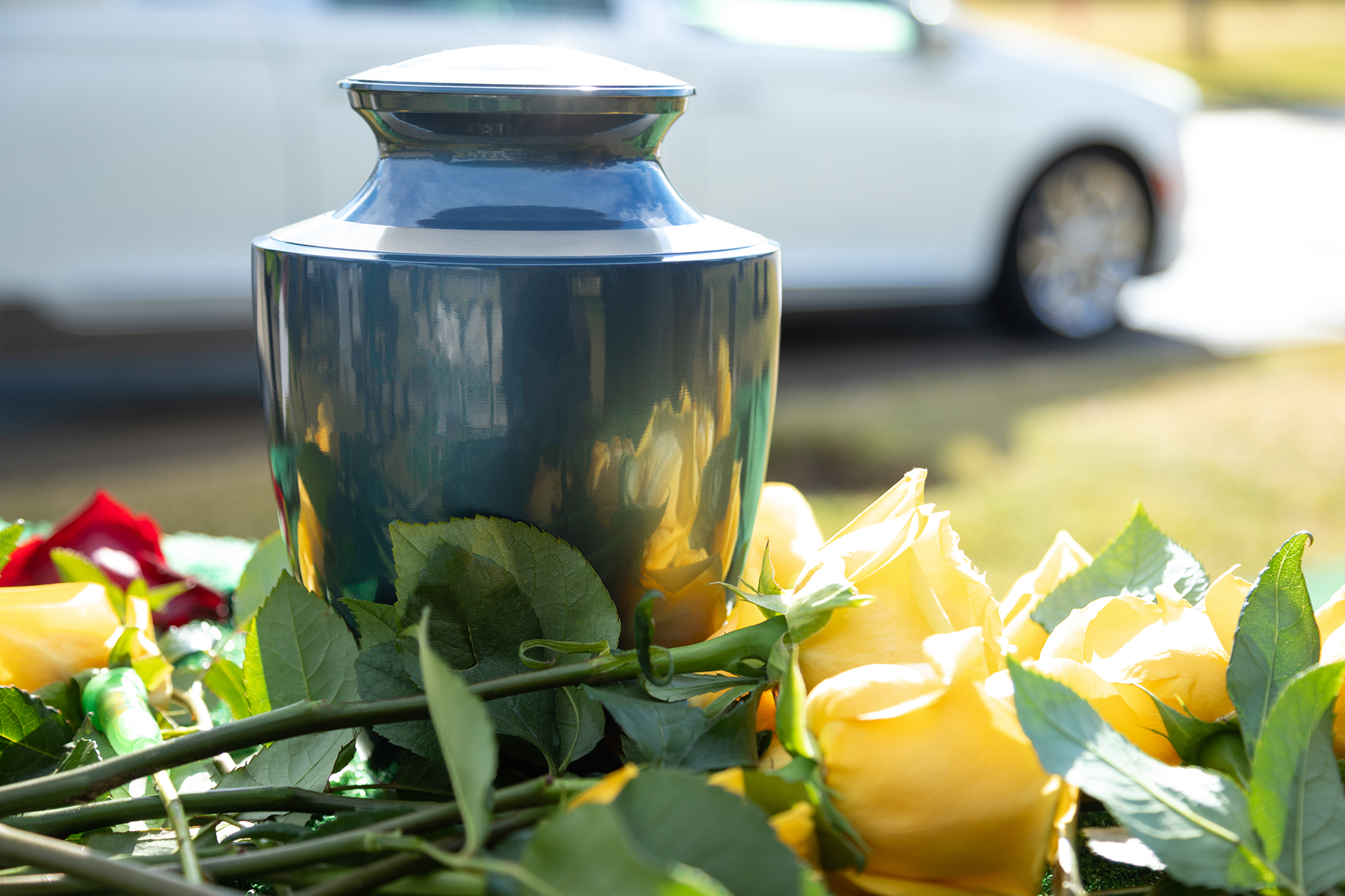 A blue urn surrounded by yellow roses and leaves with a car in the background.