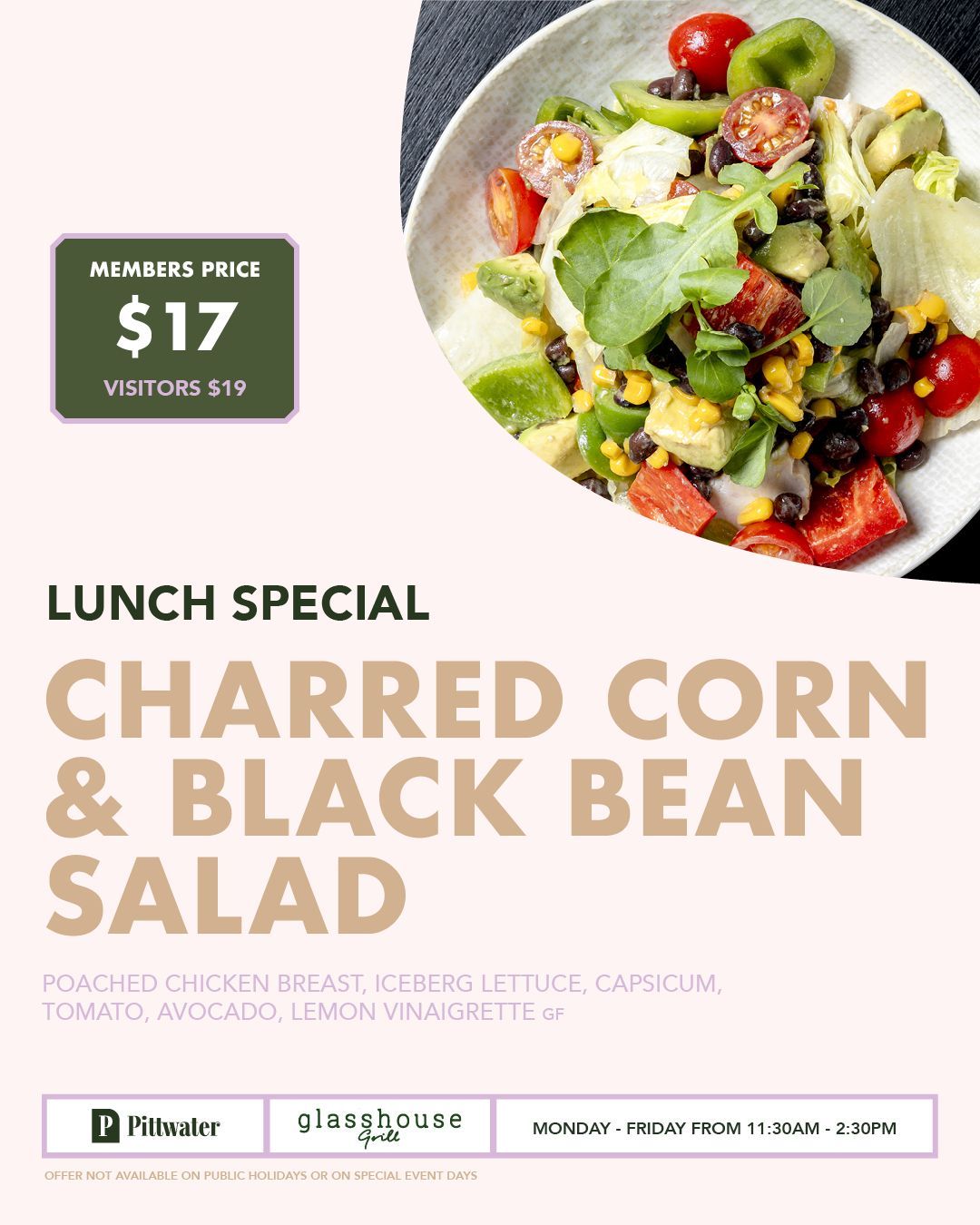 Lunch special at Glasshouse Grill, Mona Vale with prawns in rich tomato sauce served with flatbread