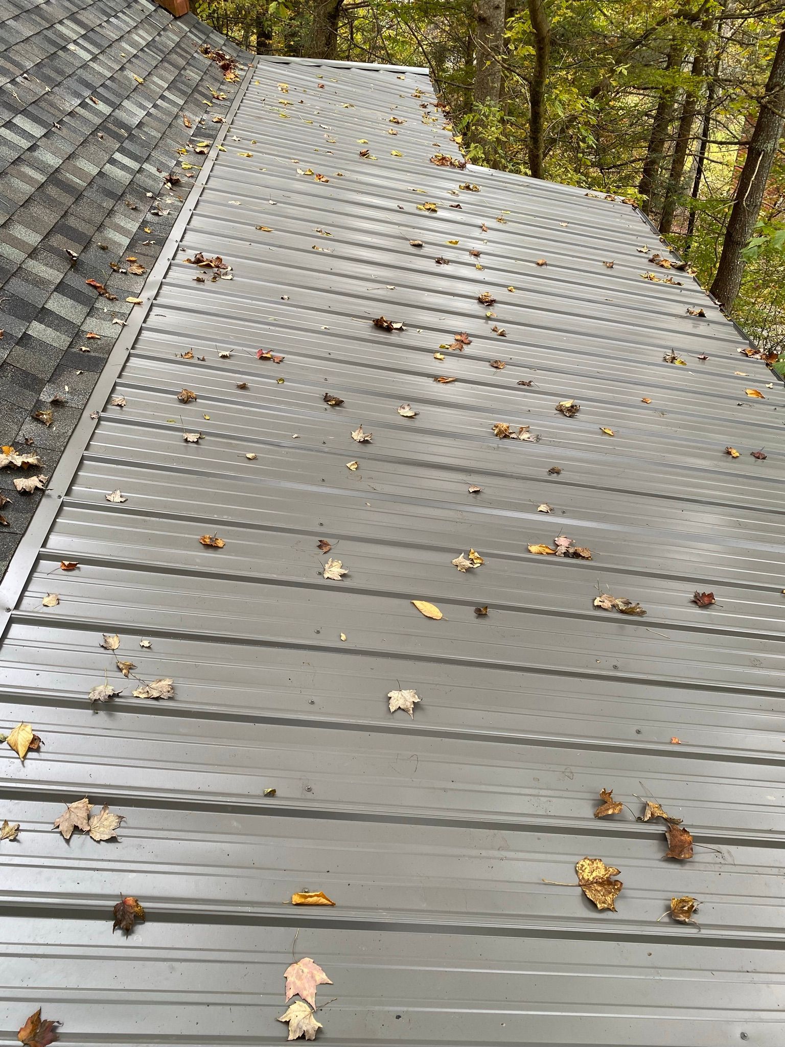 A gray, corrugated metal roof section next to shingled roofing, scattered with fallen autumn leaves.