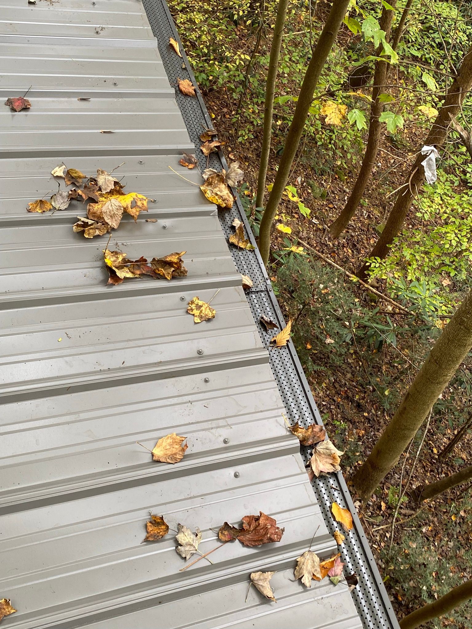 Dry leaves scattered across a light gray metal roof with a perforated gutter guard along the edge.