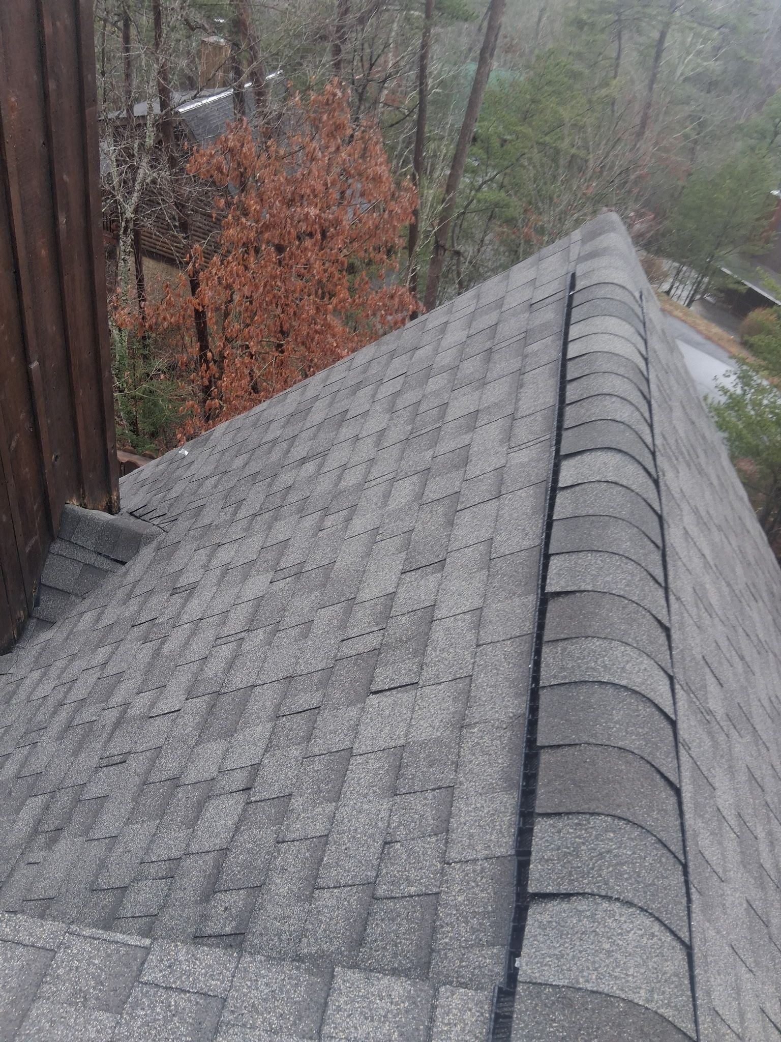 A gray shingled roof slope with a ridge cap, viewed from an elevated perspective near a dark wooden building wall.
