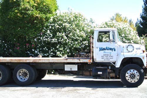 Landscaping Truck — Martinez, CA — MacAlvey's Nursery And Landscape Material