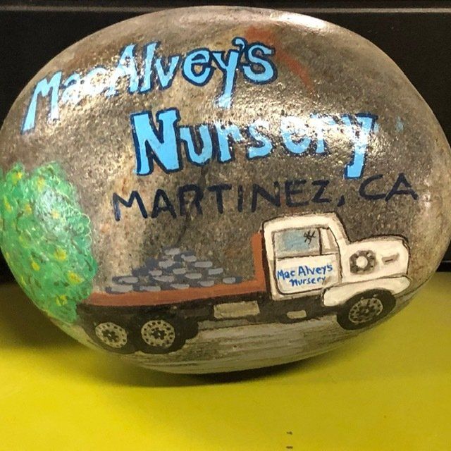 Decorative Branded Rock — Martinez, CA — MacAlvey's Nursery And Landscape Material