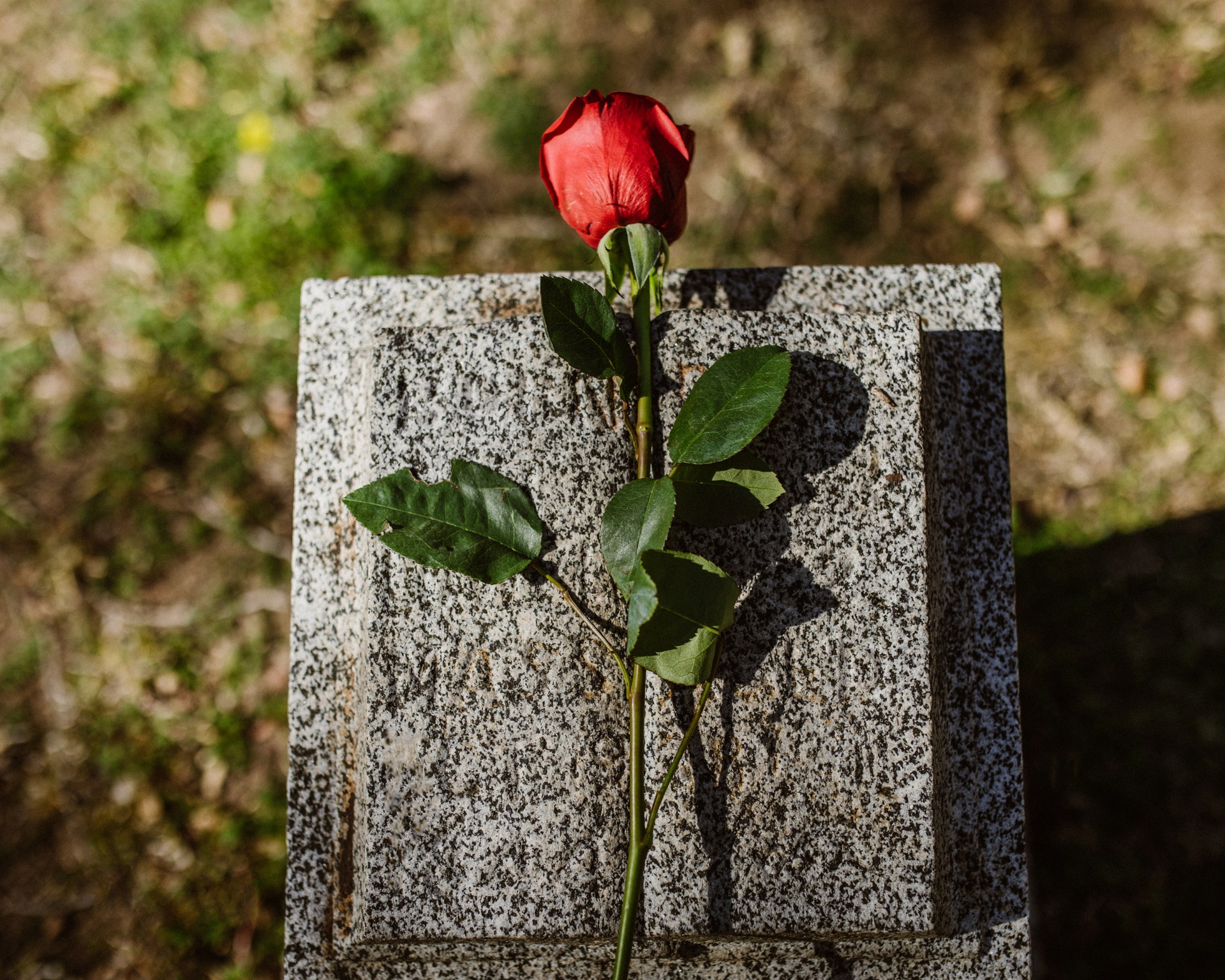 A single red rose resting on a flat, gray, speckled granite gravestone outdoors.