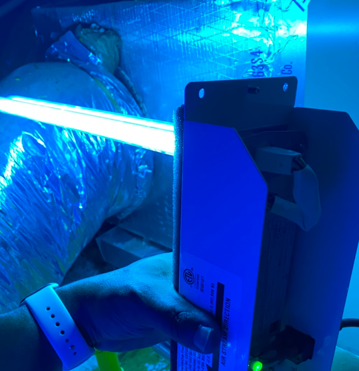 A person is holding a blue light in their hand