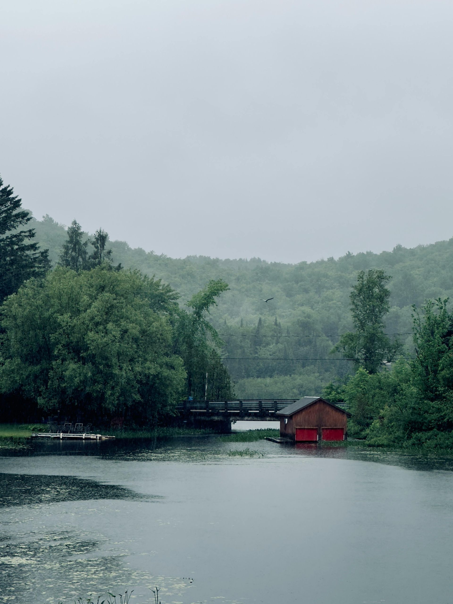 Un hangar à bateaux se dresse sur un lac calme, sous un pont, entouré d'une végétation luxuriante par une journée nuageuse.