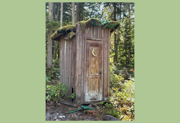 Old wooden outhouse with moon cutout on door, covered in moss, in a forest setting.