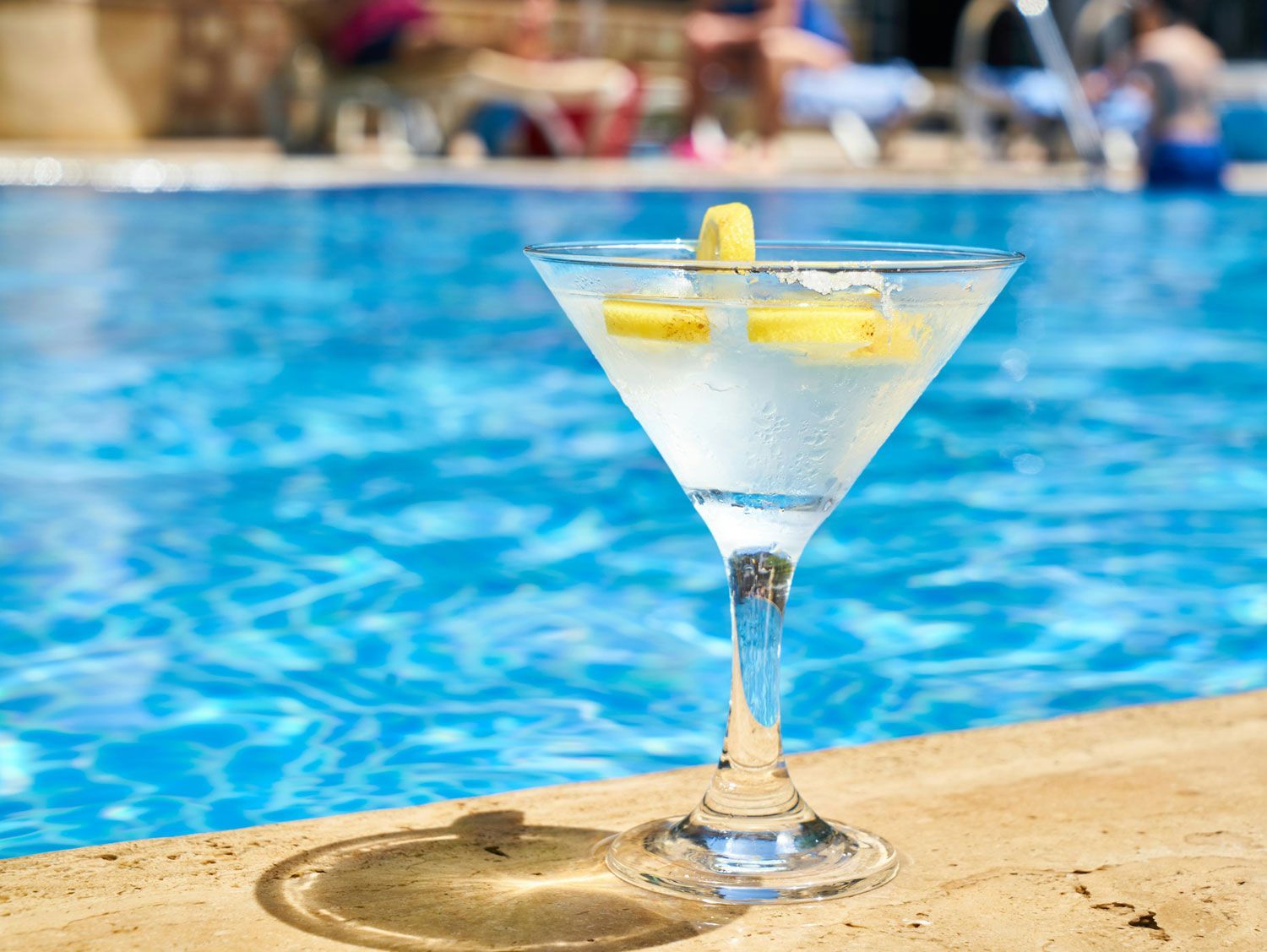 pool guard