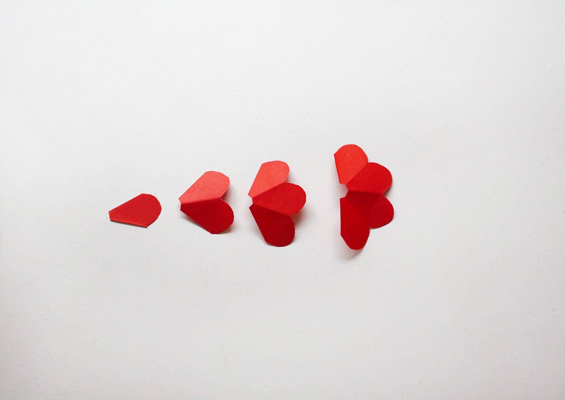 four paper rose petals in a line from biggest to largest