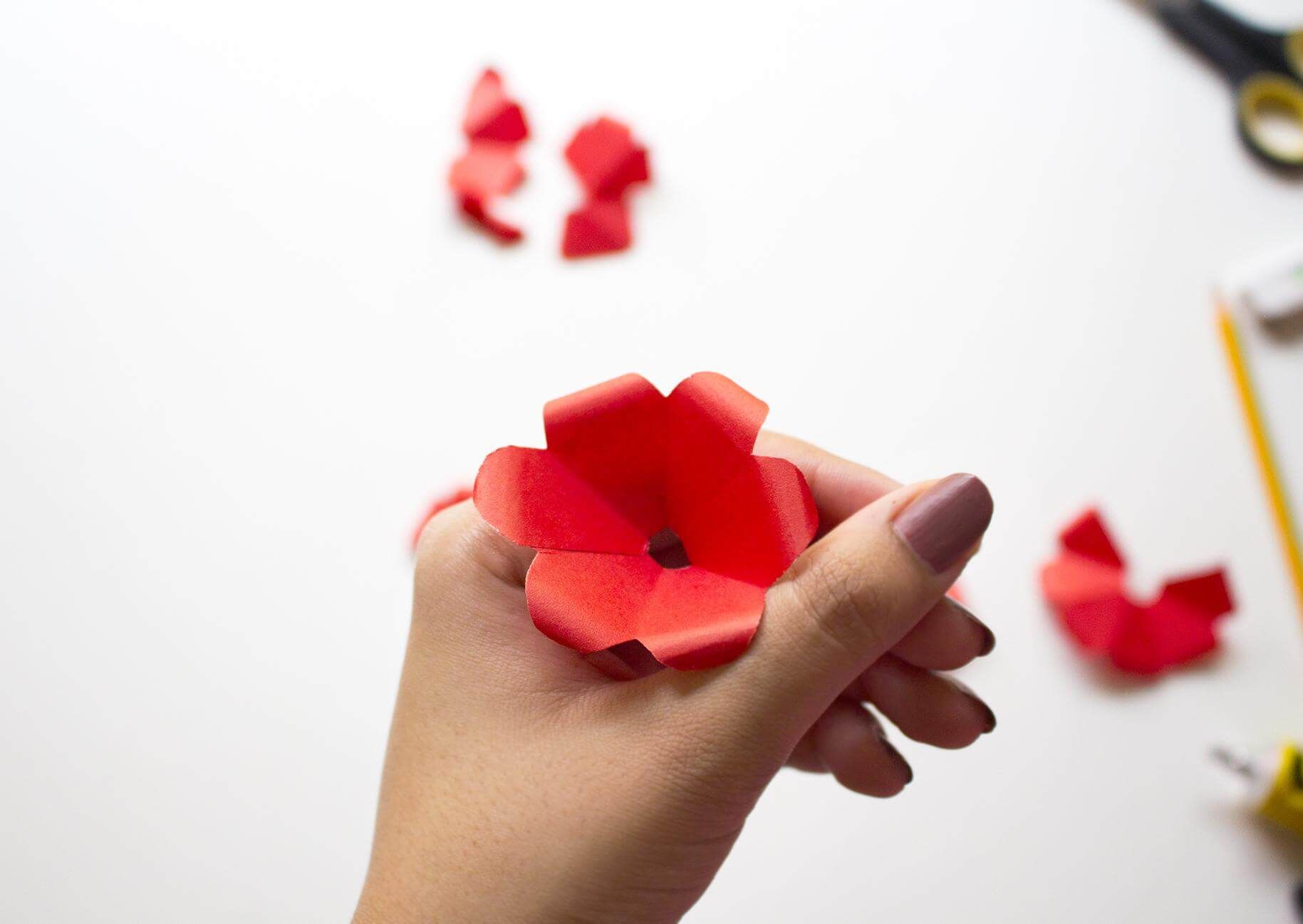 Woman holding rose flower piece