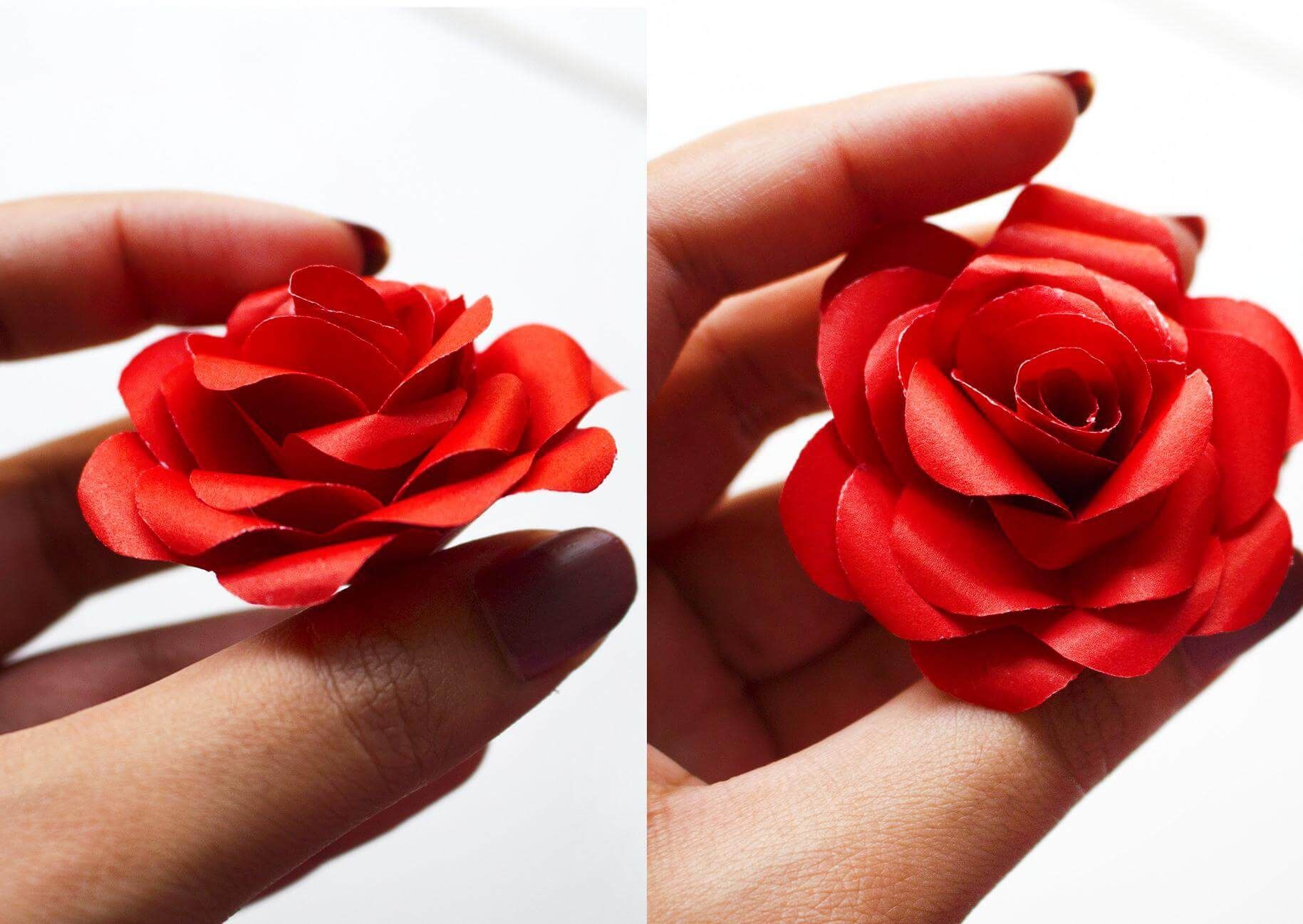Hand holding red paper rose