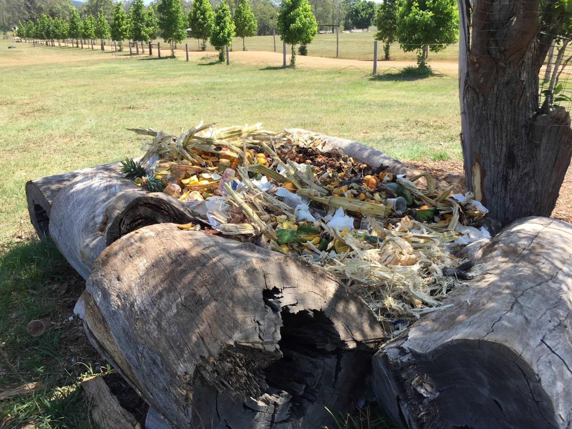 Waste Management on the Sunshine Coast Party Bins Pty Ltd