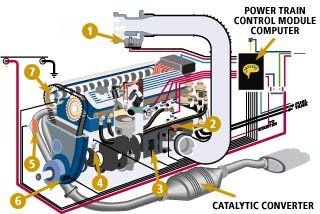 Engine Layout  | Jenkins Automotive