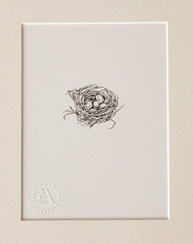 Black and white  fine line drawing print of a nest with eggs in from original pen drawing by Wendy Rowark