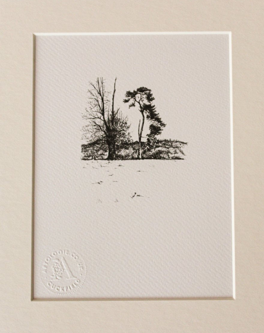 Black and white  fine line drawing print of trees behind Ockenden Manor Cuckfield from original pen drawing by Wendy Rowark