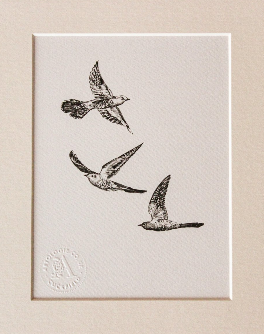 Black and white  fine line drawing print of three flying cuckoos from original pen drawing by Wendy Rowark