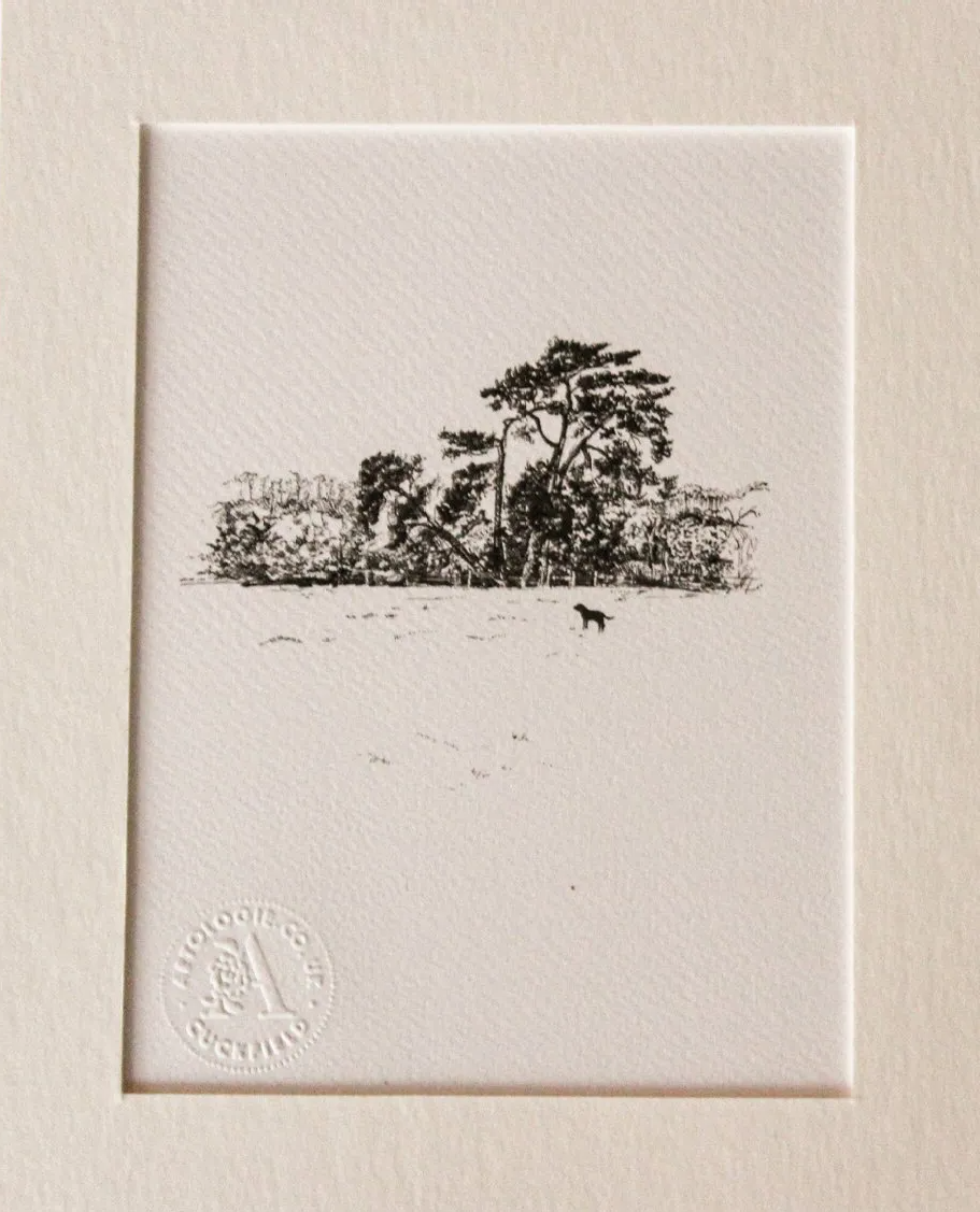 Black and white  fine line drawing print of a group of trees in cuckfield and small black larador Cuckfield from original pen drawing by Wendy Rowark