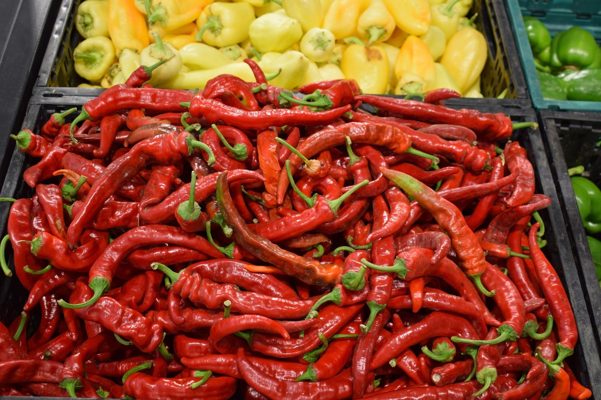 A pile of red peppers next to a pile of yellow peppers