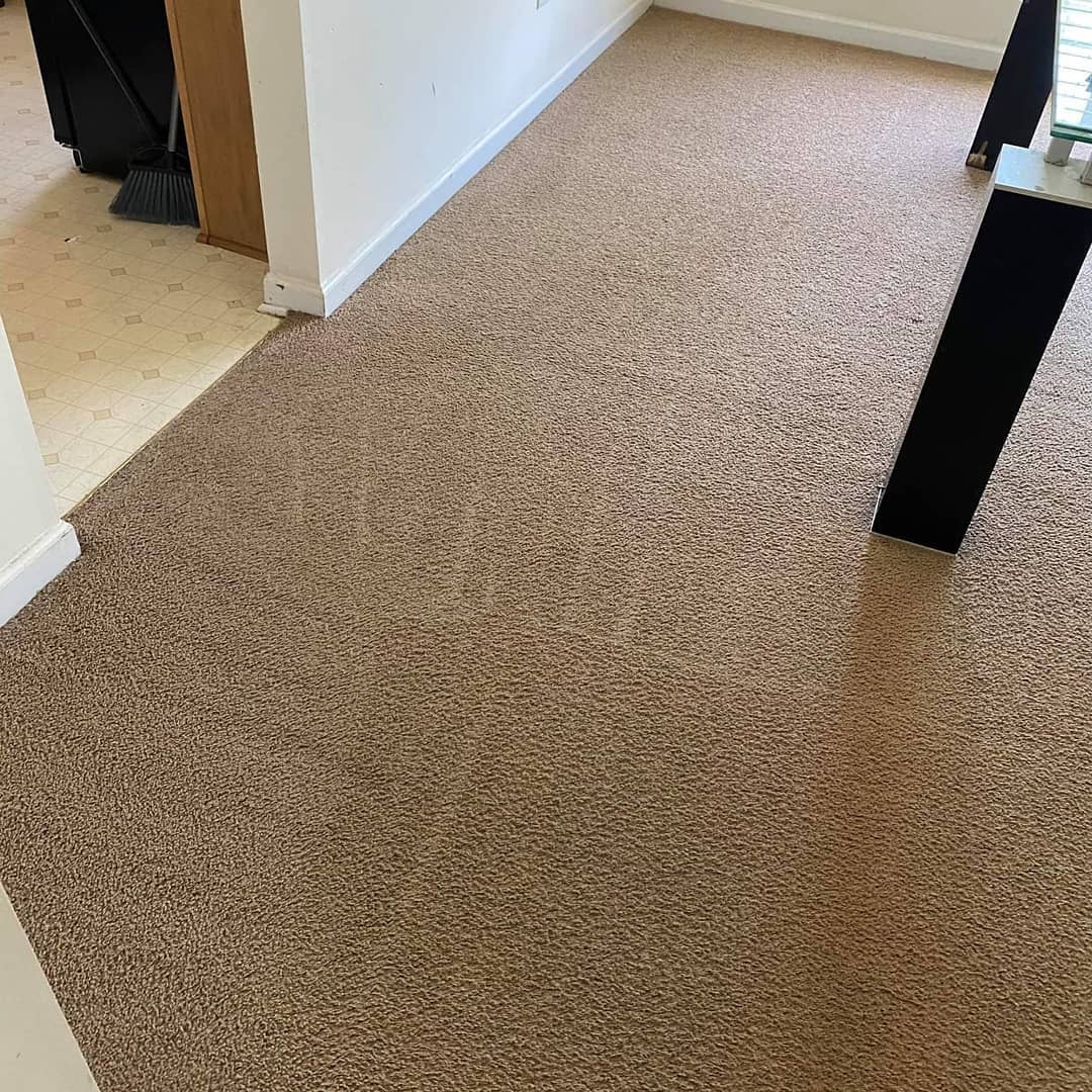 Carpet Cleaning Services Atlanta Tile Cleaner In Lawrenceville