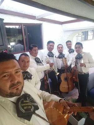 MARIACHI INTERNACIONAL DEL VALLE