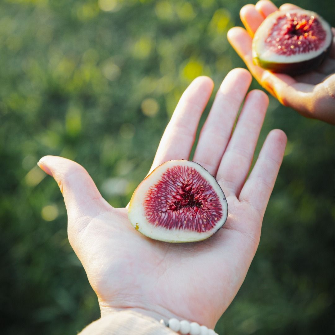 Empreintes Cadeaux La Vallée du Moulin