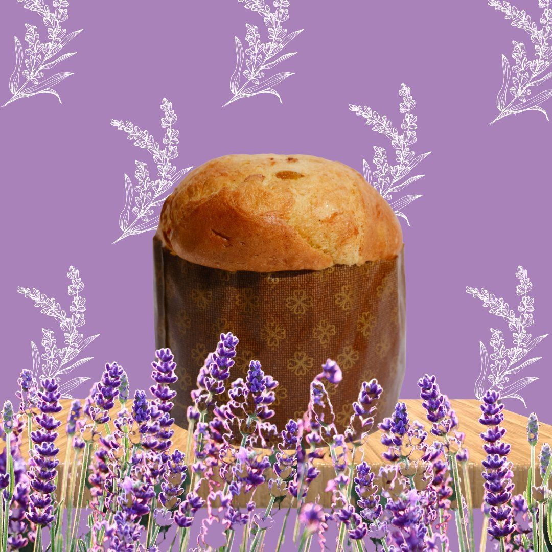 Empreintes Cadeaux Produits Viva Panettone