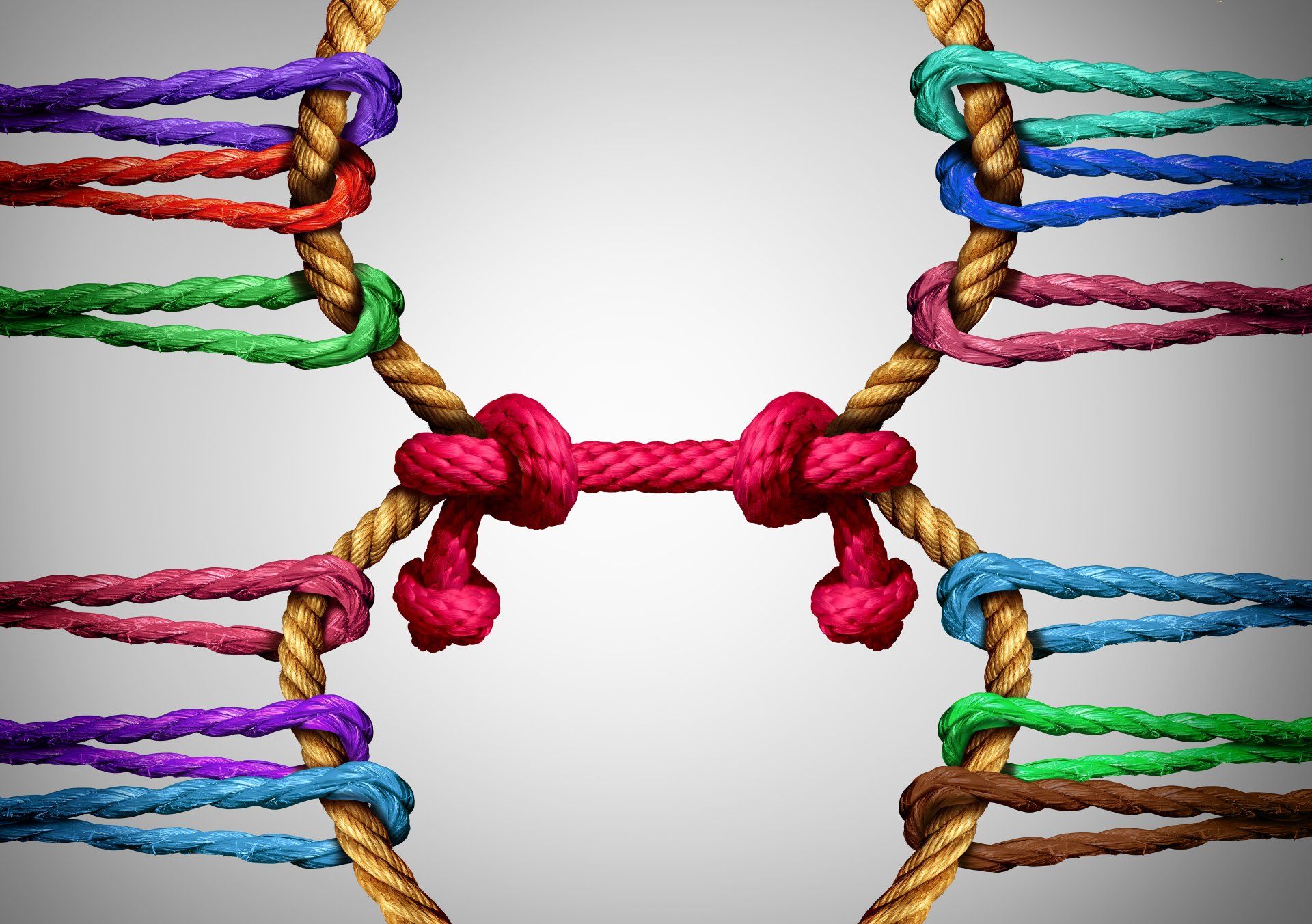 een touw als 8 vorm met daarom heen allemaal touwkleuren eraan verbonden.