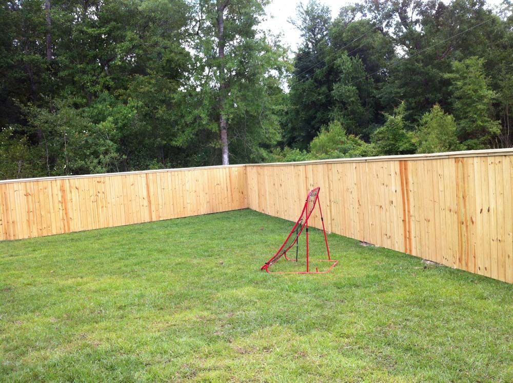Newly Built Fences