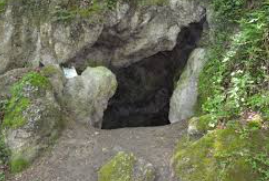 Lungo tavolo in legno apparecchiato per pranzare, con tovagliette di carta, bicchieri e posate. Vista esterna.