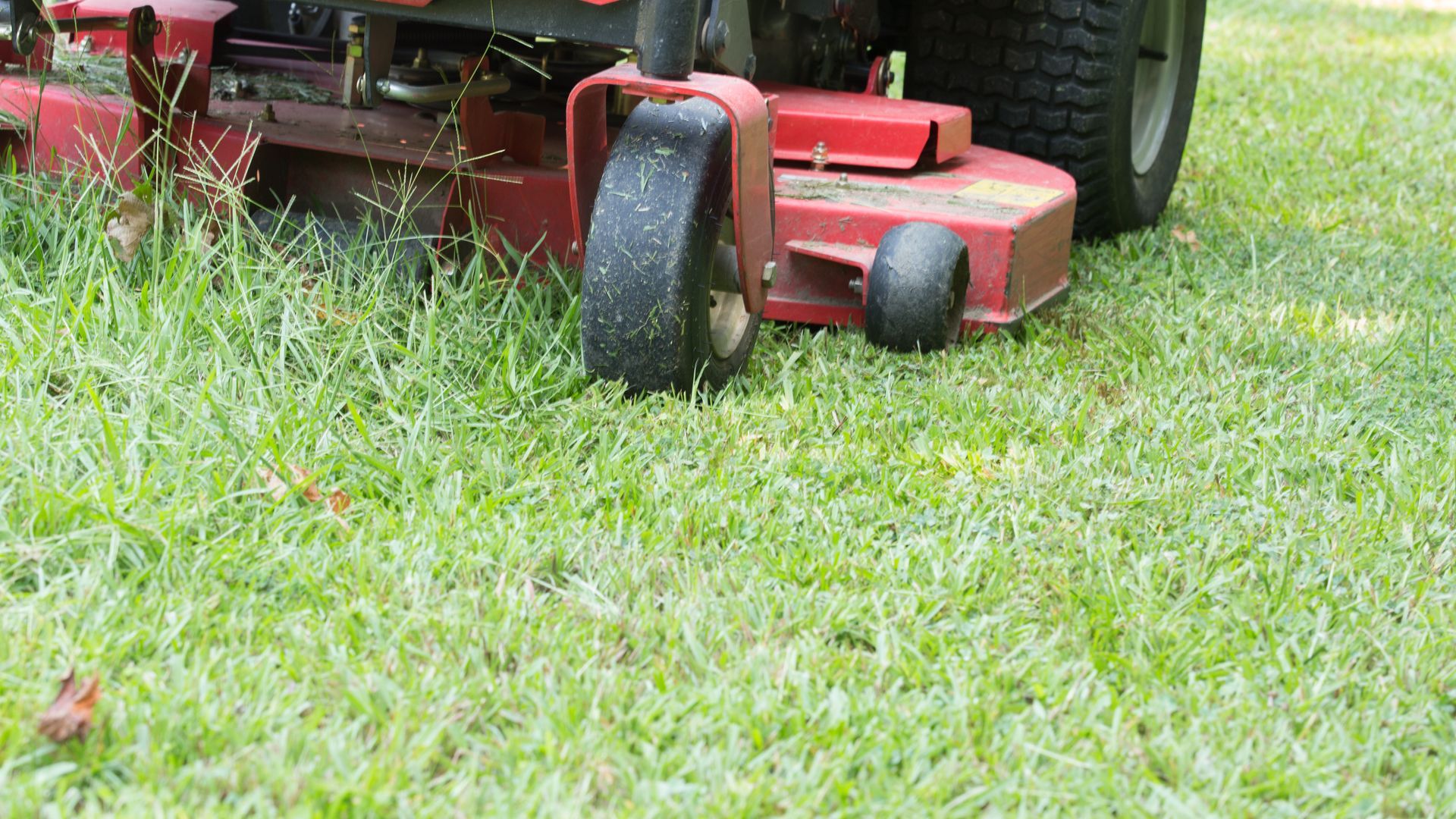 A person is laying a roll of grass on the ground.