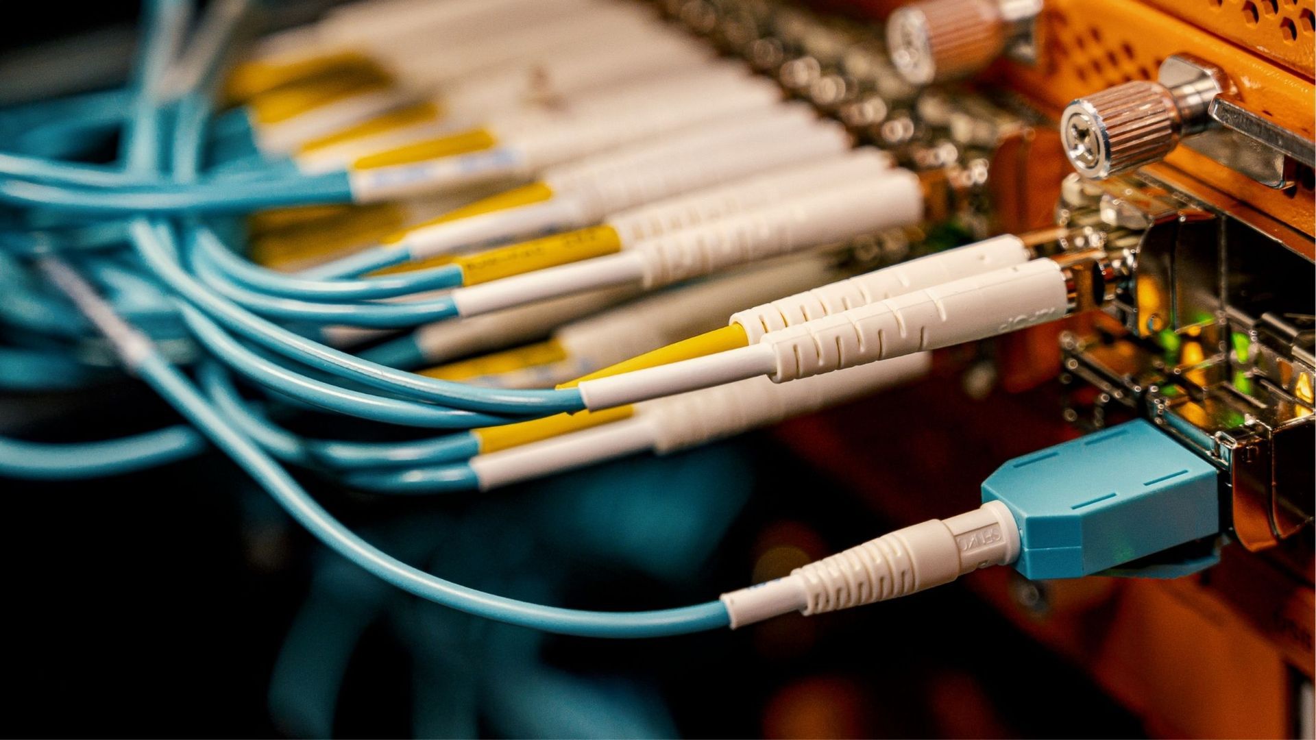 Blue optical fiber cables plugged into a server.