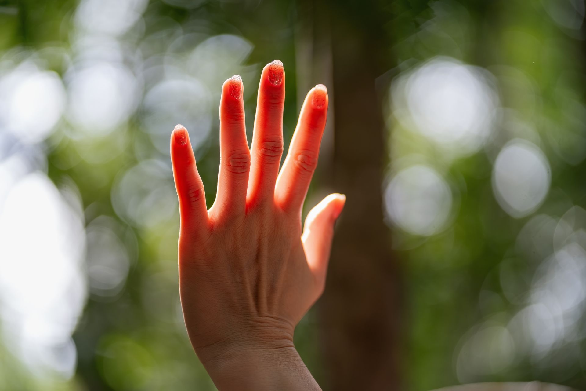 A close up of a person 's hand with the sun shining through it.