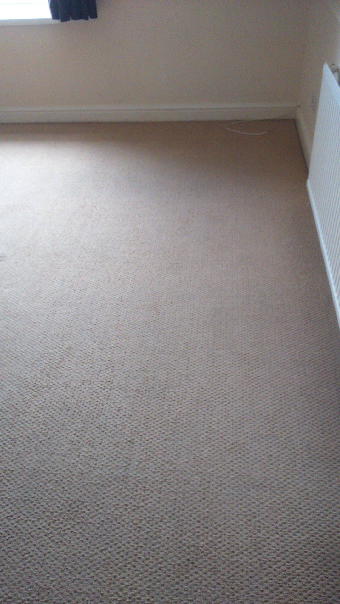 Carpet Cleaning