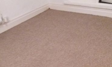 Carpet Cleaning