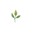 sprout icon