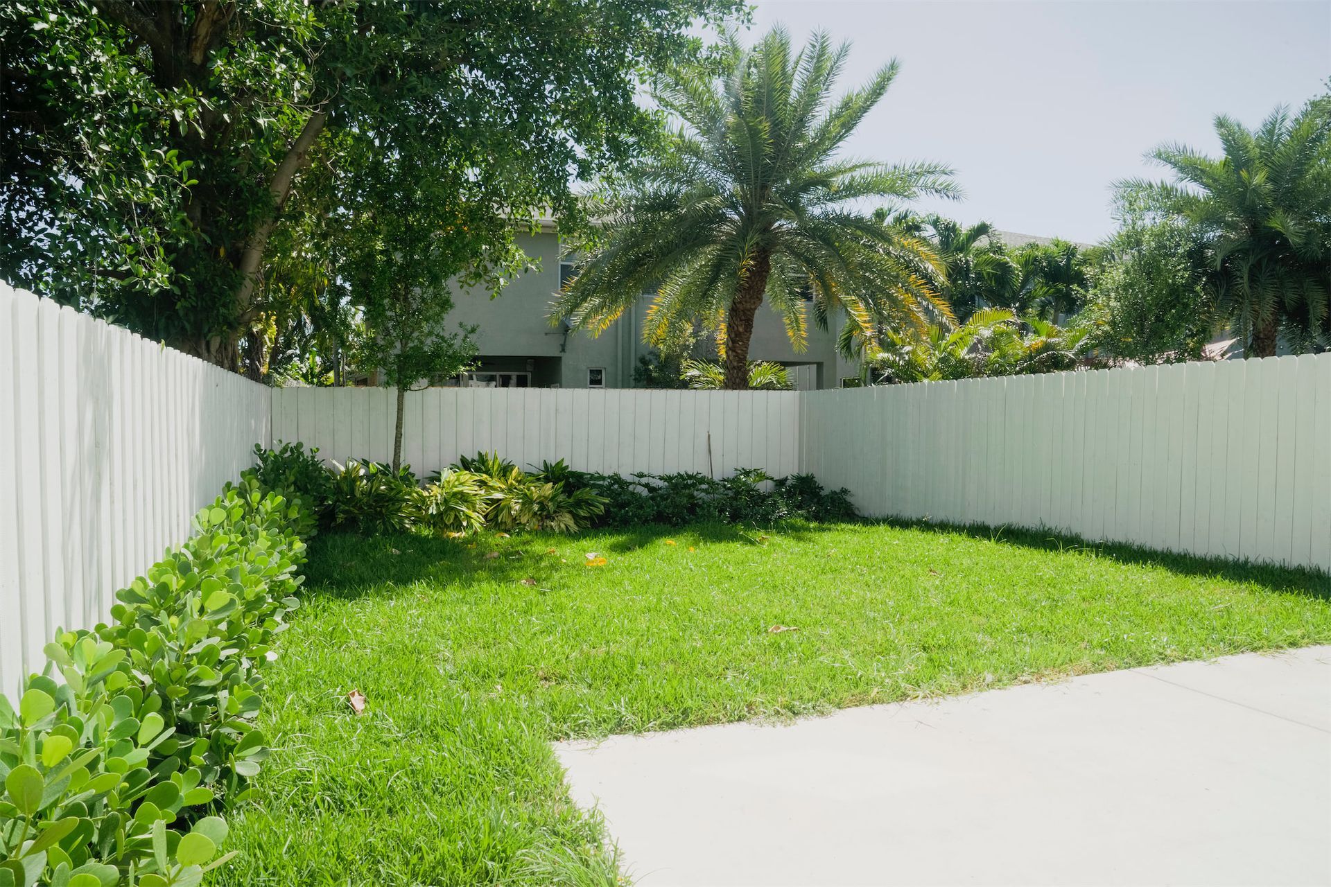 a lush green yard with a white fence and palm trees .