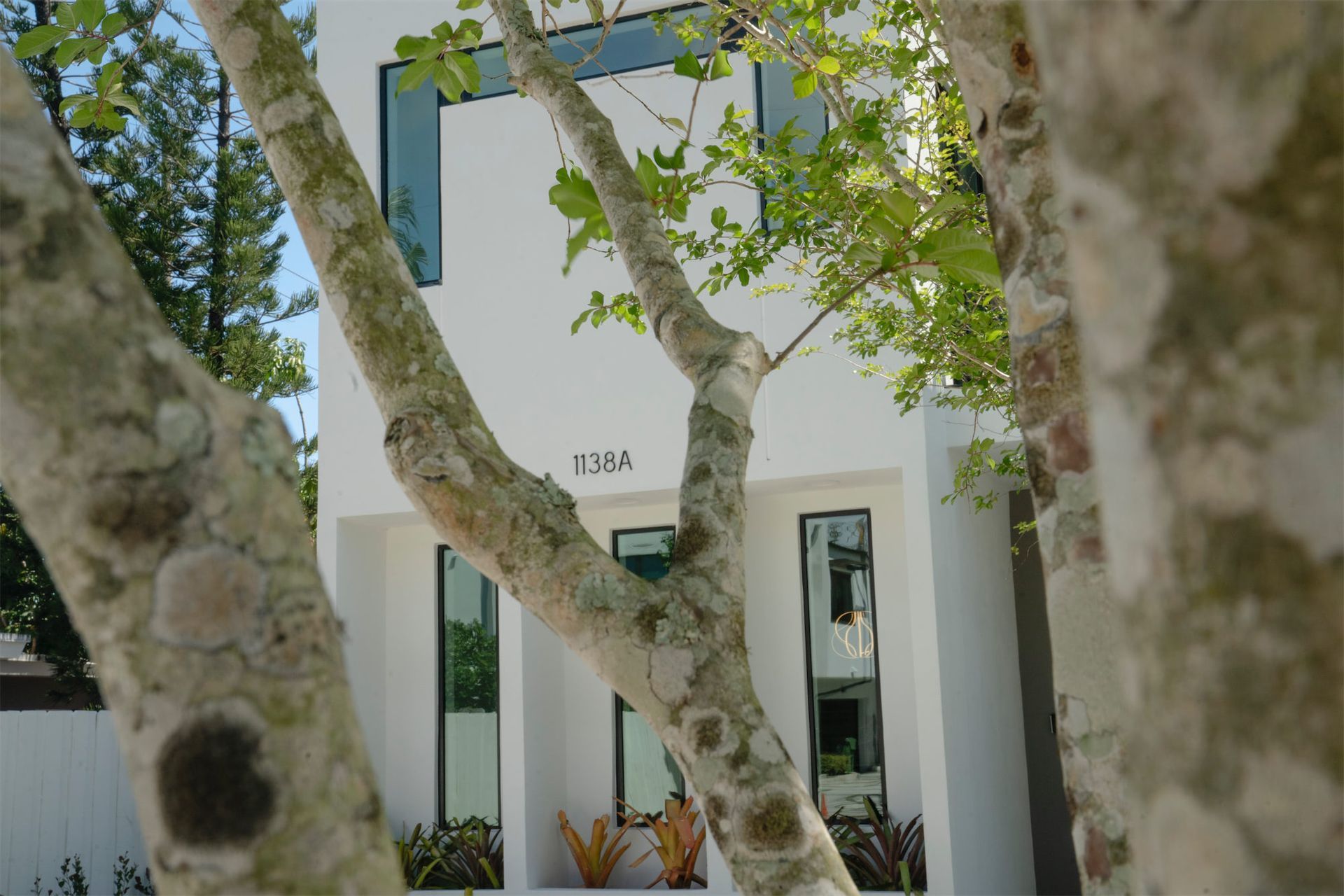 a white house with a tree in front of it .