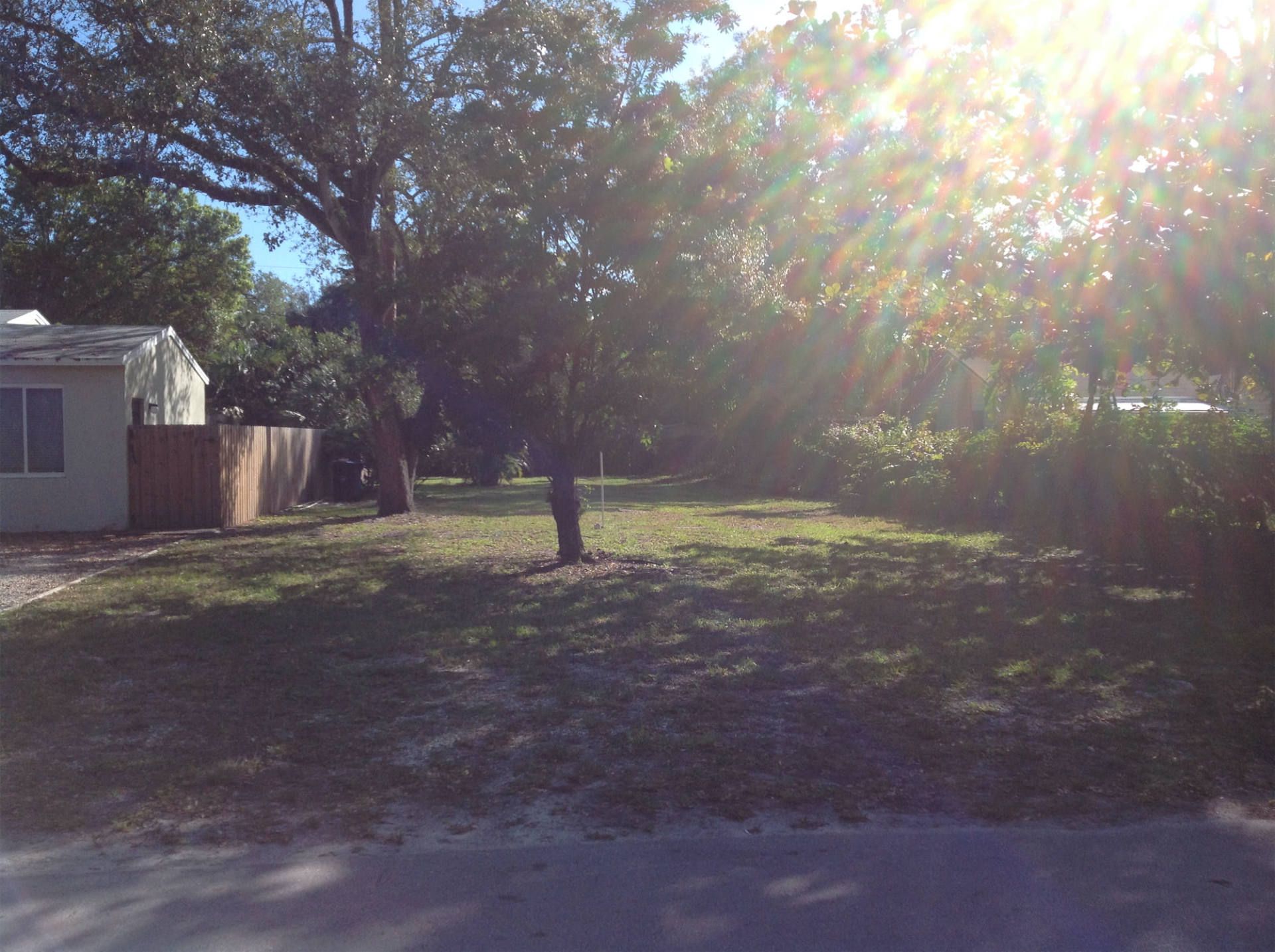 the sun is shining through the trees on a sunny day