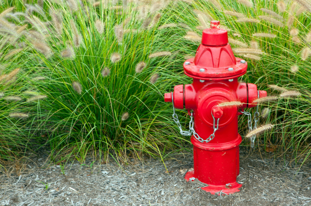 A red fire hydrant is sitting in front of a grassy area.