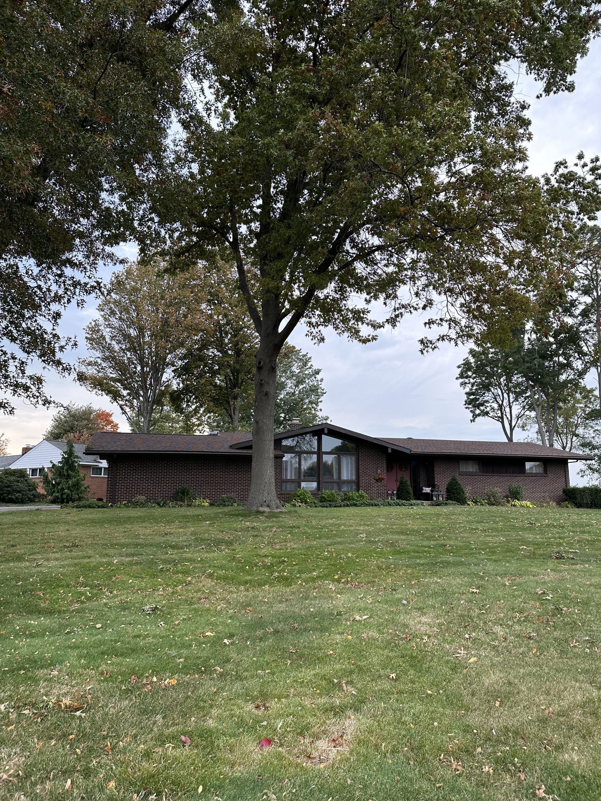 A ranch-style home with a large tree in front; overcast sky, brown siding, and green grass.