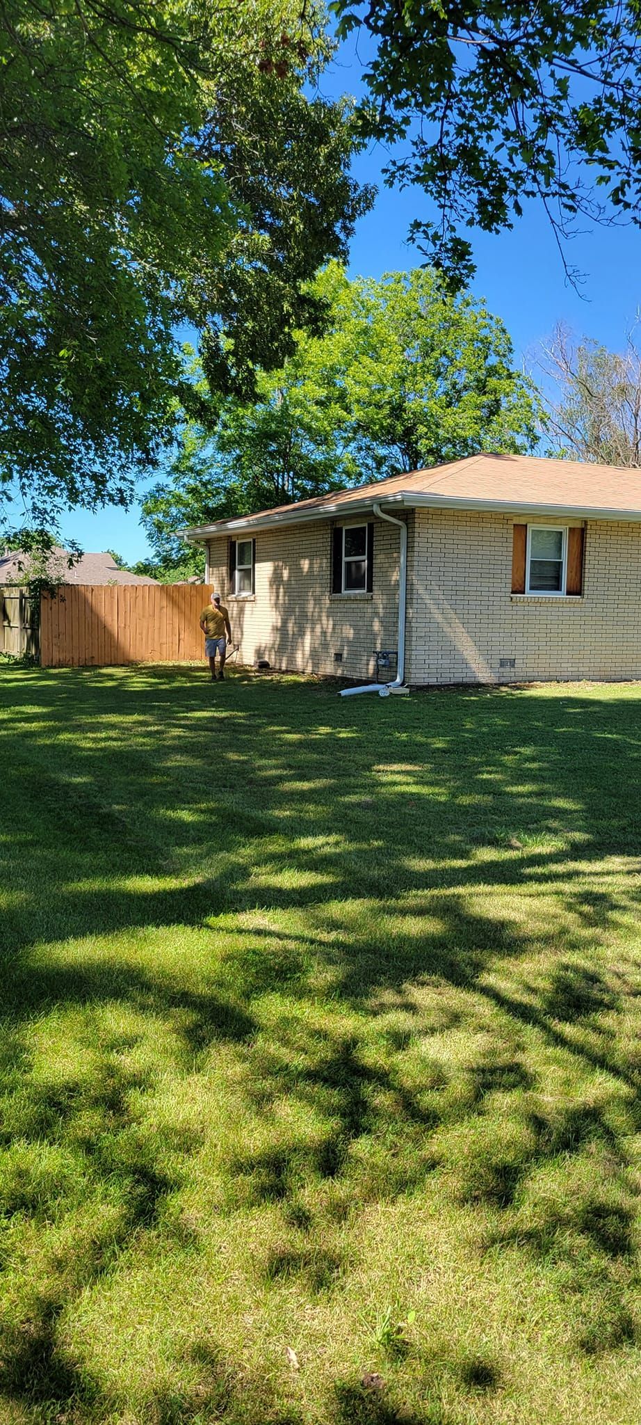 A grassy yard with tree shadows, a light-colored house, and a wooden fence on a sunny day.