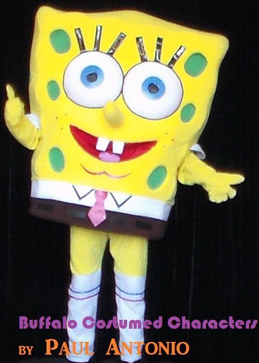 Sponge Guy