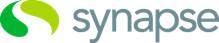 Synapse Logo — Worldwide — Zen4Life Coaching & Consulting