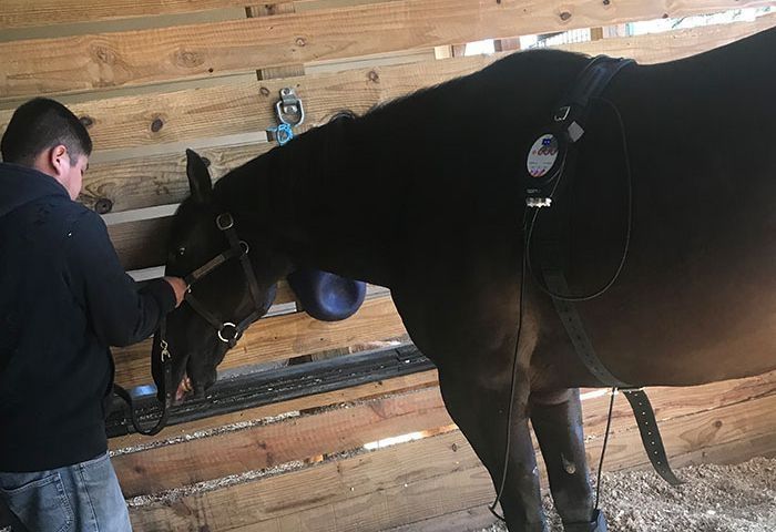 Man With a Black Horse
