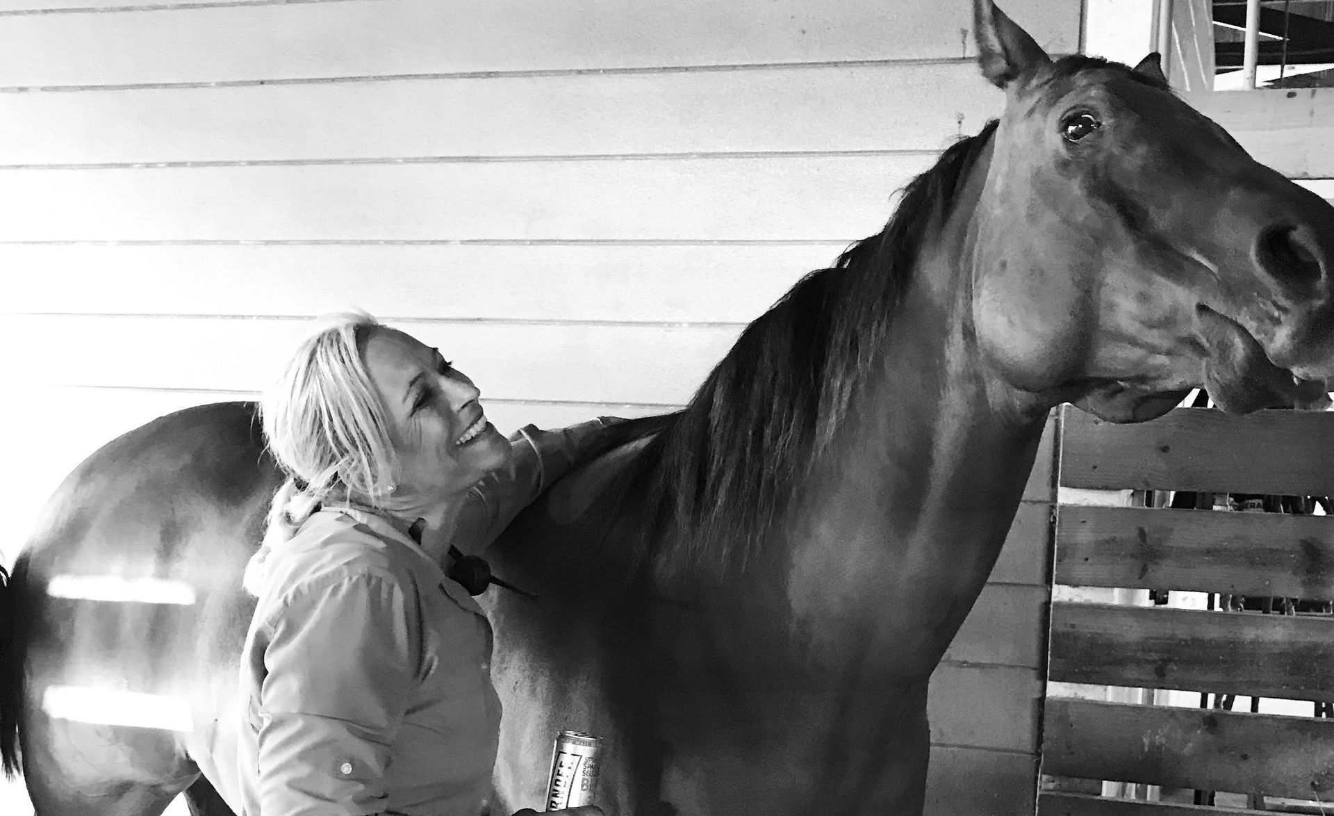 Black Horse