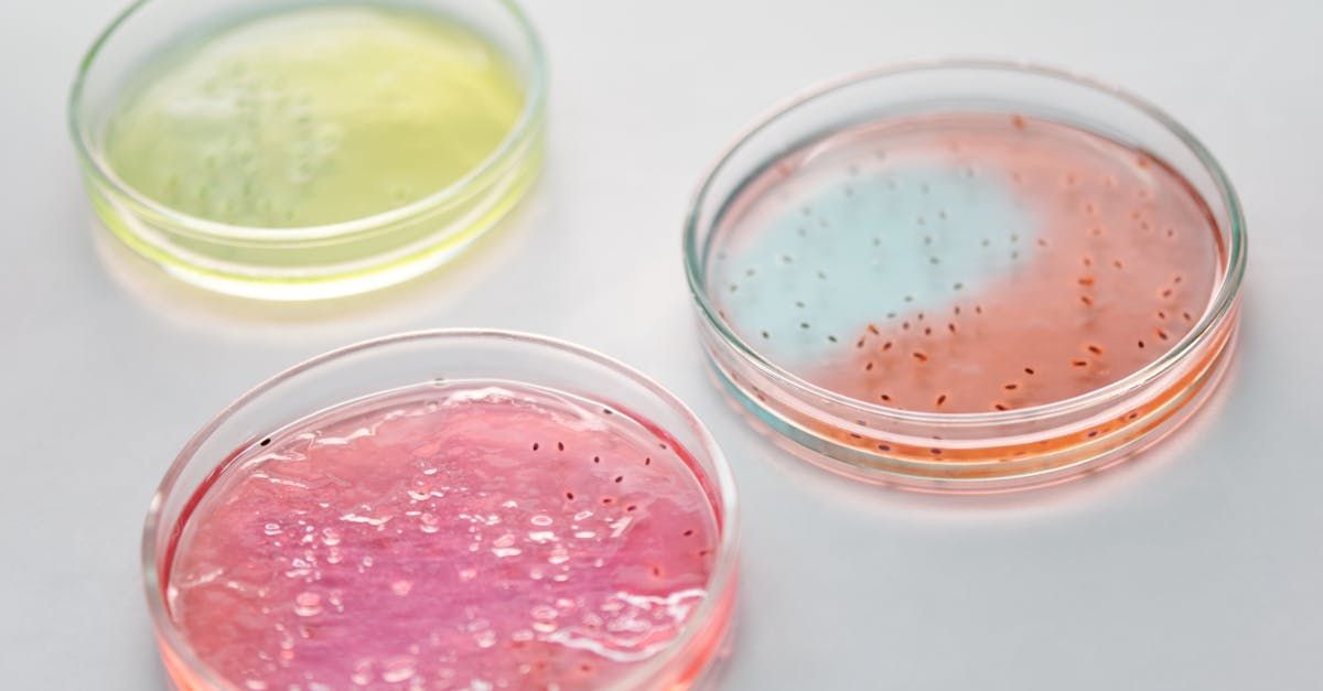 Three petri dishes filled with different colored liquids on a table.