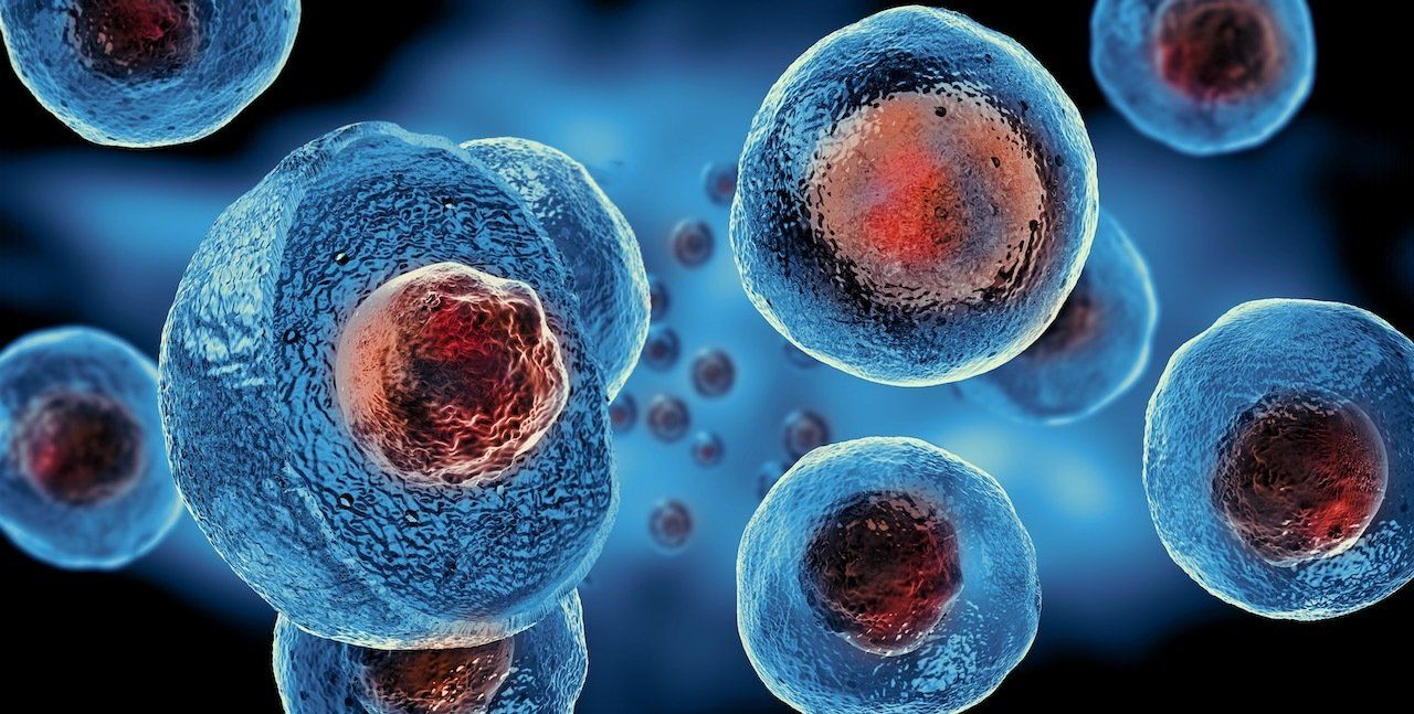 A group of blue cells with red centers on a black background.
