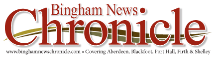 A logo for the bingham news chronicle is shown